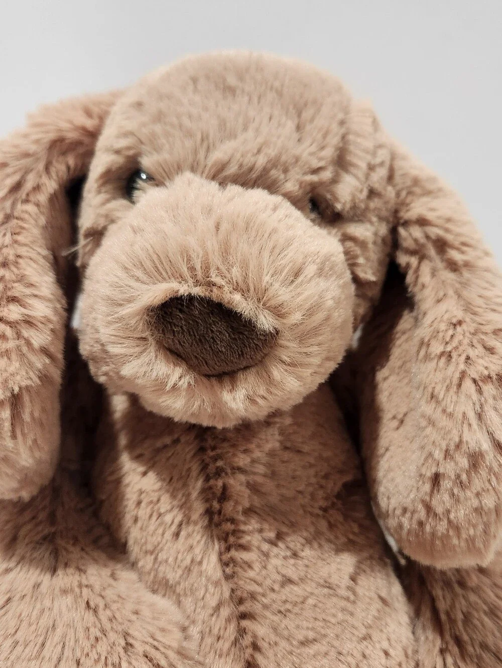 Jellycat Tan Bashful Toffee Puppy Medium Collectible Plushie Stuffie